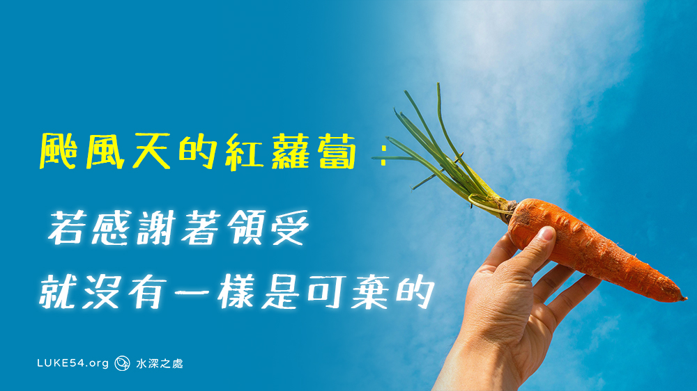 若感謝著領受，就沒有一樣是可棄的。